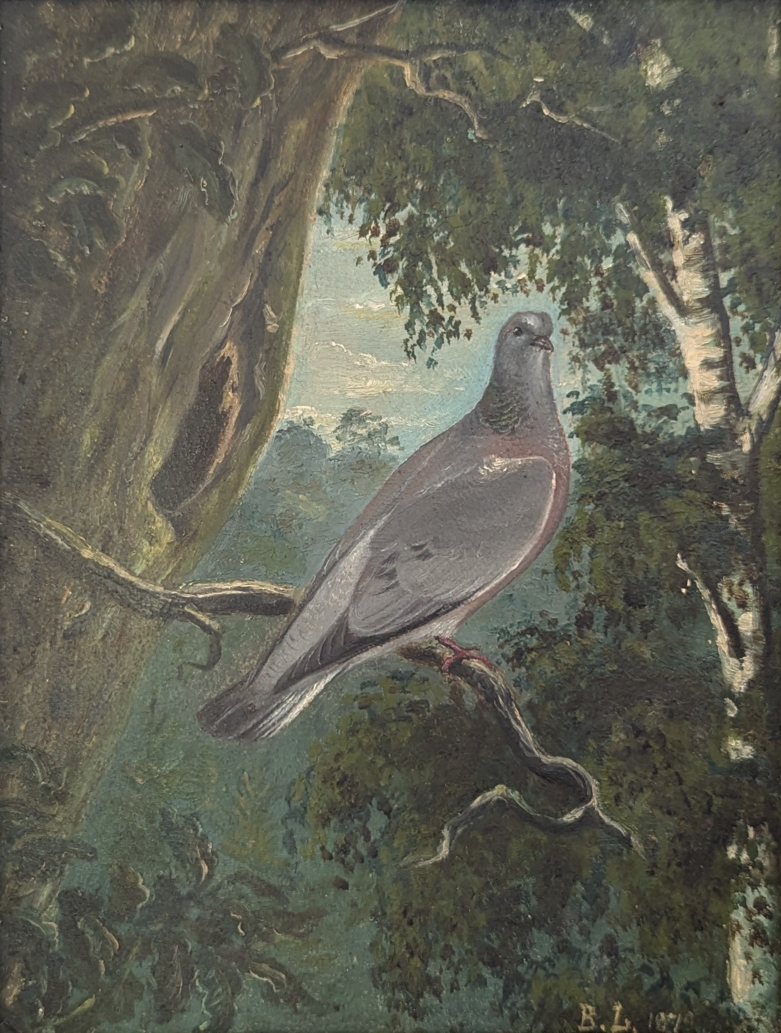 Skogsduva by Bruno Liljefors