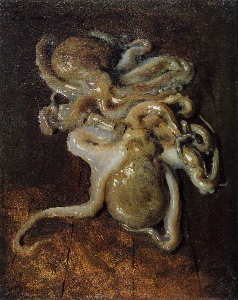 Two Octopi by John Singer Sargent