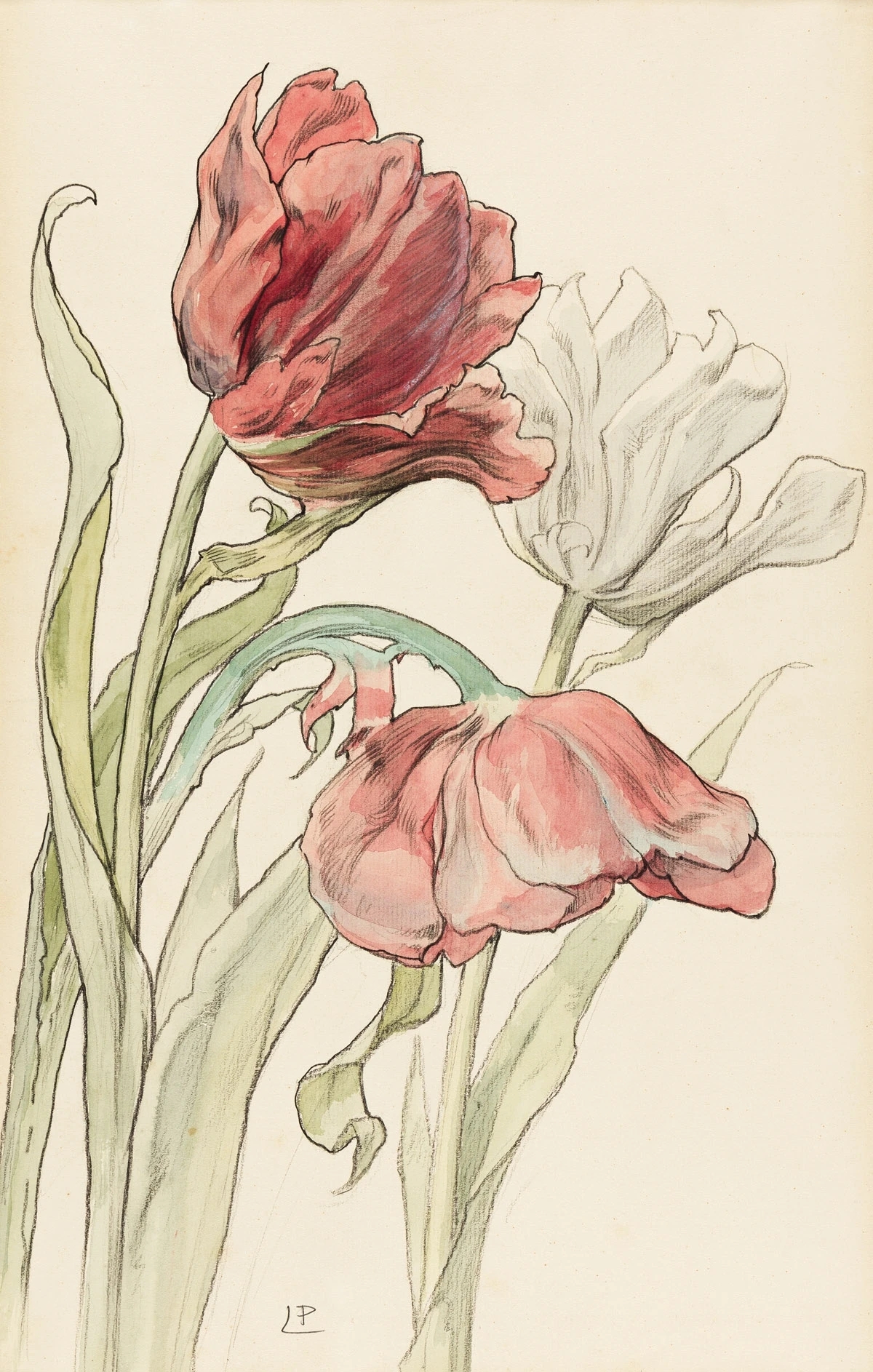 Tulipes by Henri Privat-Livemont