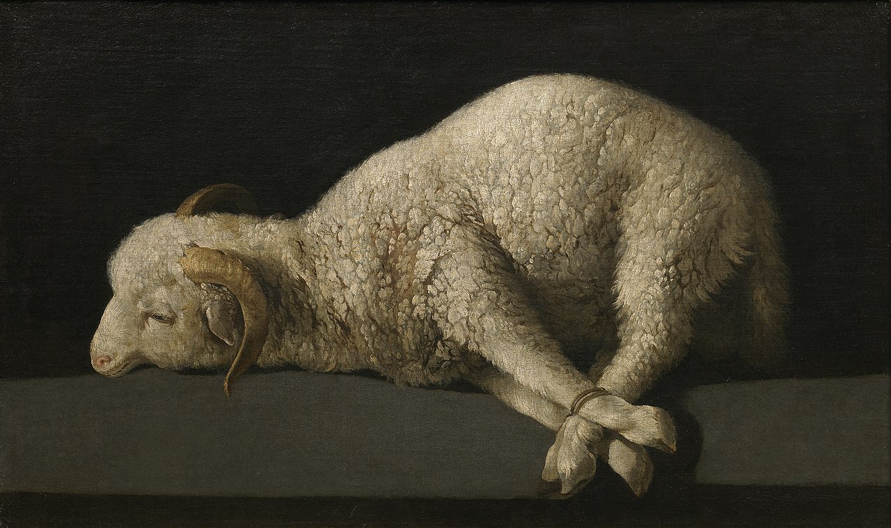 Agnus Dei by Francisco de Zurbarán