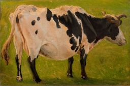 Black and white cow standing. Study. by Carlo Dalgas