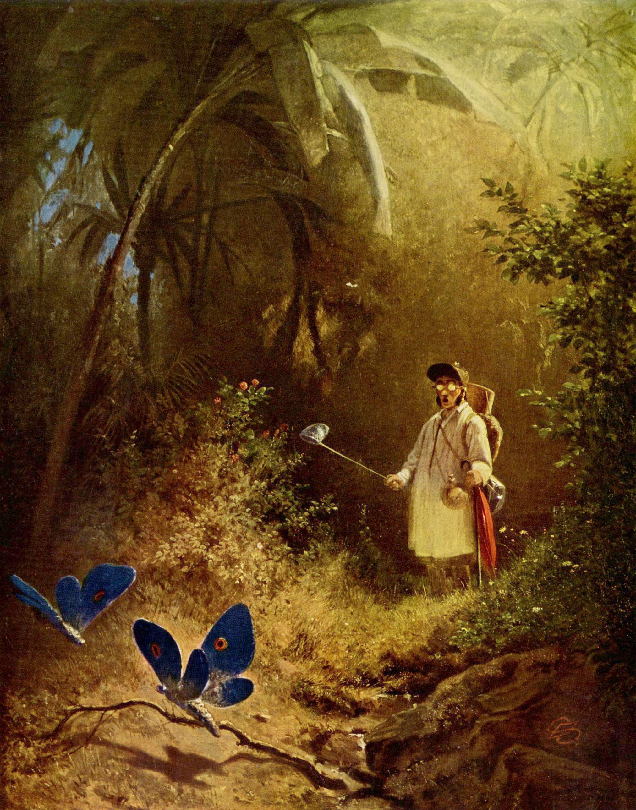 The Butterfly Hunter, Carl Spitzweg