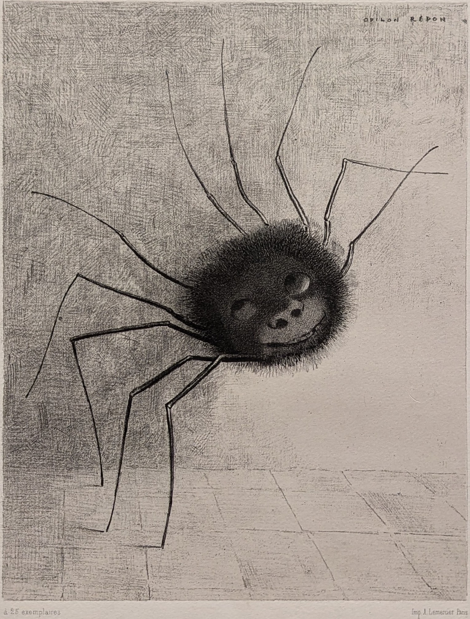 L'Araignée souriante by Odilon Redon